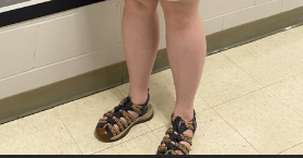 Screenshot Premium preview